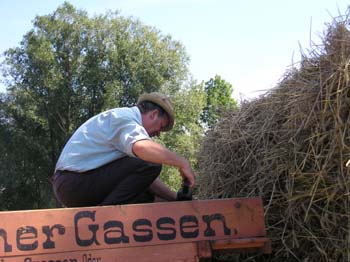 DF_Dreschen013